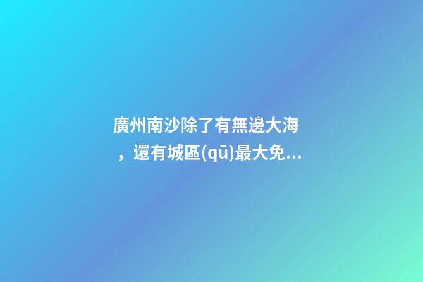 廣州南沙除了有無邊大海，還有城區(qū)最大免費(fèi)森林公園，名字拗口